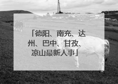 德阳、南充、达州、巴中、甘孜、凉山最新人事