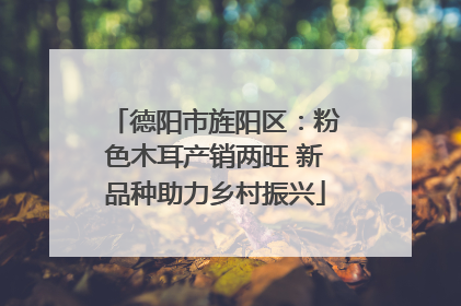 德阳市旌阳区：粉色木耳产销两旺 新品种助力乡村振兴