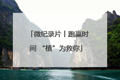 微纪录片丨跑赢时间 “植”为救你
