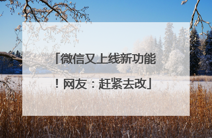 微信又上线新功能！网友：赶紧去改