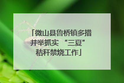 微山县鲁桥镇多措并举抓实 “三夏” 秸秆禁烧工作
