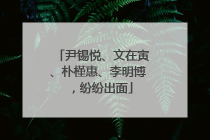 尹锡悦、文在寅、朴槿惠、李明博，纷纷出面