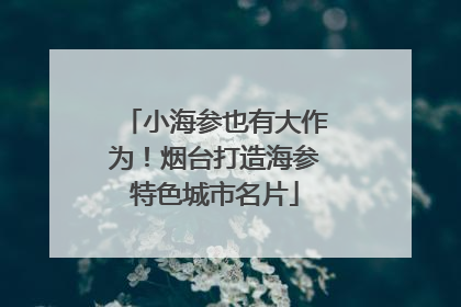 小海参也有大作为！烟台打造海参特色城市名片