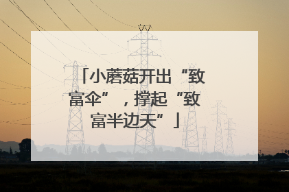 小蘑菇开出“致富伞”，撑起“致富半边天”