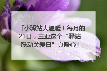 小驿站大温暖！每月的21日，三亚这个“驿站联动关爱日”真暖心