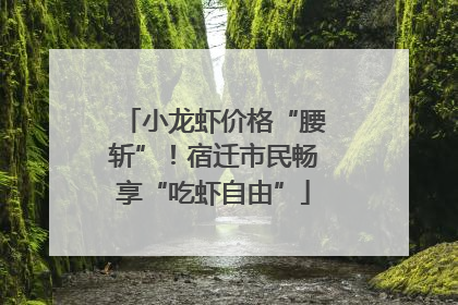 小龙虾价格“腰斩”！宿迁市民畅享“吃虾自由”