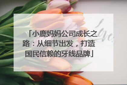小鹿妈妈公司成长之路：从细节出发，打造国民信赖的牙线品牌