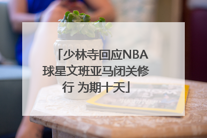 少林寺回应NBA球星文班亚马闭关修行 为期十天