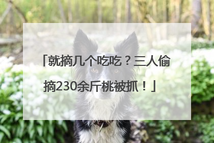 就摘几个吃吃？三人偷摘230余斤桃被抓！