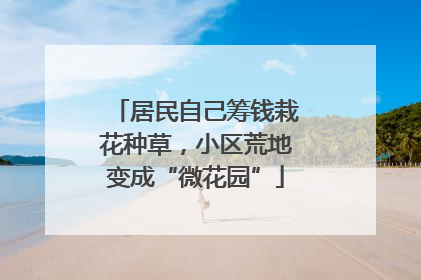 居民自己筹钱栽花种草，小区荒地变成“微花园”