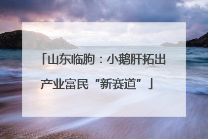 山东临朐：小鹅肝拓出产业富民“新赛道”