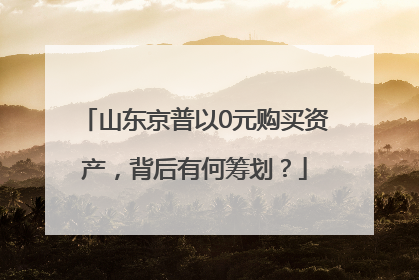 山东京普以0元购买资产，背后有何筹划？