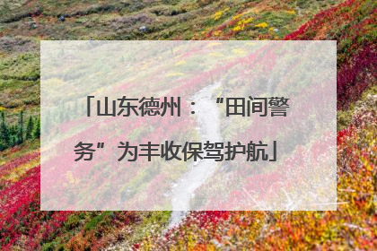 山东德州：“田间警务”为丰收保驾护航