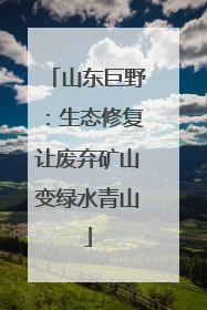 山东巨野：生态修复让废弃矿山变绿水青山
