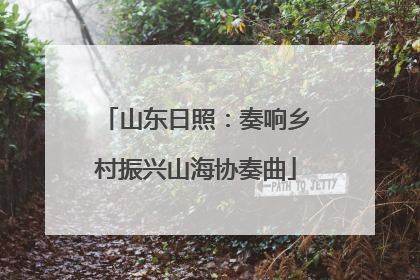 山东日照：奏响乡村振兴山海协奏曲