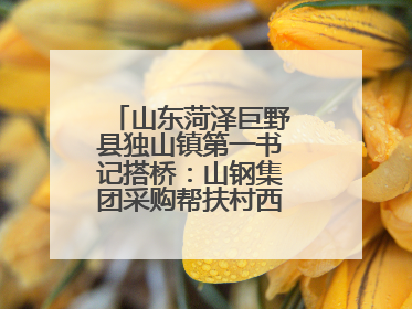 山东菏泽巨野县独山镇第一书记搭桥：山钢集团采购帮扶村西瓜助农增收