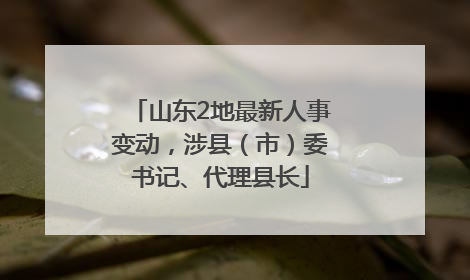 山东2地最新人事变动，涉县（市）委书记、代理县长