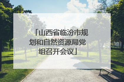 山西省临汾市规划和自然资源局党组召开会议
