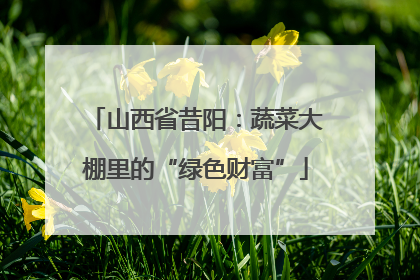山西省昔阳：蔬菜大棚里的“绿色财富”