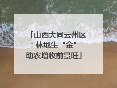 山西大同云州区：林地生“金” 助农增收前景旺