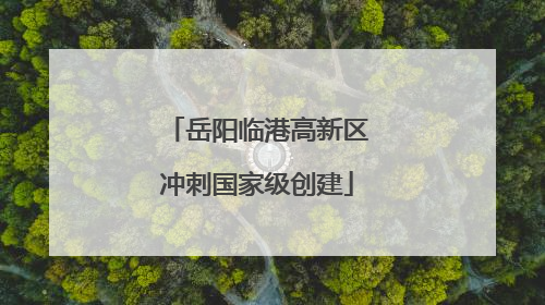 岳阳临港高新区冲刺国家级创建