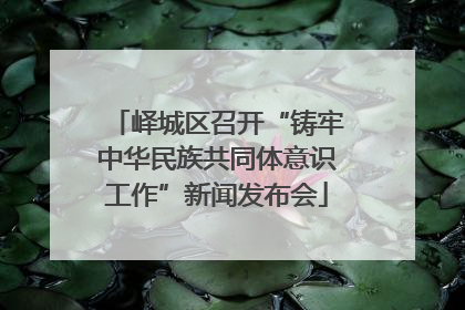 峄城区召开“铸牢中华民族共同体意识工作”新闻发布会