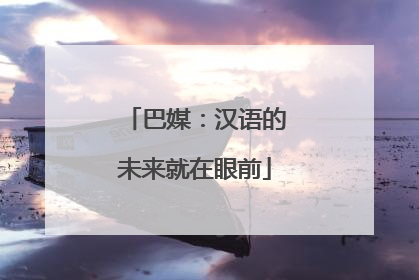 巴媒：汉语的未来就在眼前