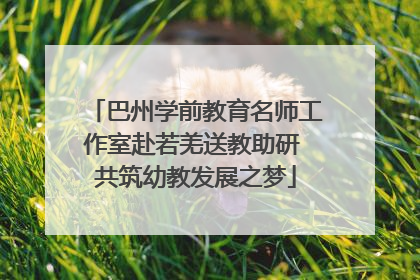 巴州学前教育名师工作室赴若羌送教助研 共筑幼教发展之梦