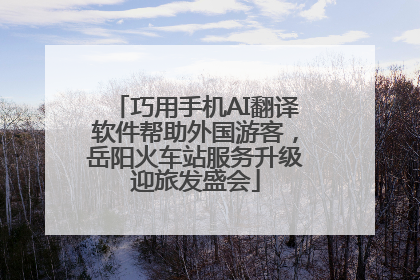 巧用手机AI翻译软件帮助外国游客，岳阳火车站服务升级迎旅发盛会