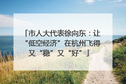 市人大代表徐向东：让“低空经济”在杭州飞得又“稳”又“好”