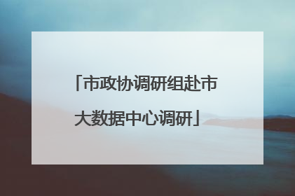 市政协调研组赴市大数据中心调研