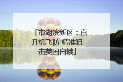 市湖滨新区：直升机飞防 精准狙击美国白蛾