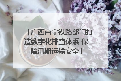 广西南宁铁路部门打造数字化排查体系 保障汛期运输安全