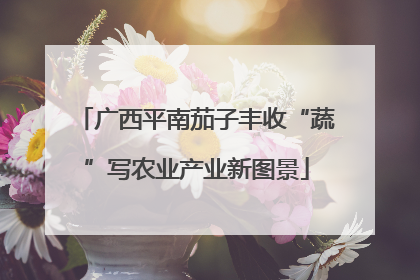 广西平南茄子丰收“蔬”写农业产业新图景