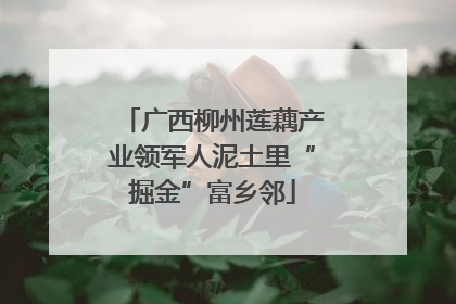 广西柳州莲藕产业领军人泥土里“掘金”富乡邻