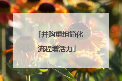 并购重组简化流程增活力