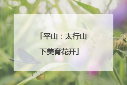 平山：太行山下美育花开