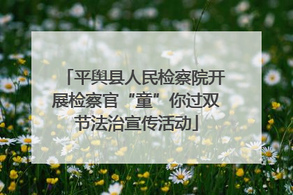 平舆县人民检察院开展检察官“童”你过双节法治宣传活动