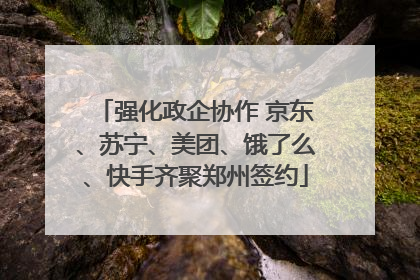 强化政企协作 京东、苏宁、美团、饿了么、快手齐聚郑州签约