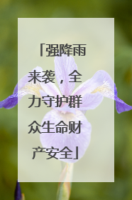 强降雨来袭，全力守护群众生命财产安全