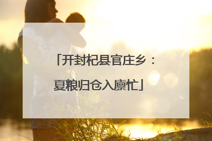 开封杞县官庄乡：夏粮归仓入廪忙