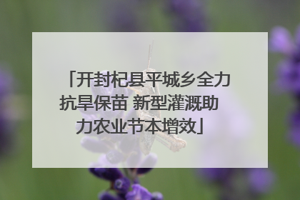 开封杞县平城乡全力抗旱保苗 新型灌溉助力农业节本增效