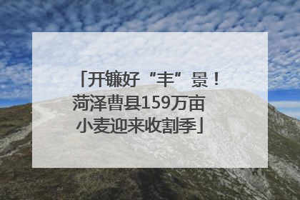 开镰好“丰”景！菏泽曹县159万亩小麦迎来收割季