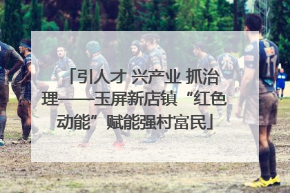引人才 兴产业 抓治理——玉屏新店镇“红色动能”赋能强村富民