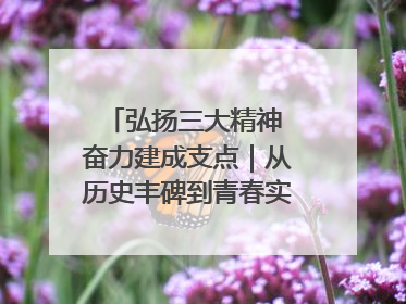 弘扬三大精神 奋力建成支点｜从历史丰碑到青春实践，咸宁书写精神传承新篇章