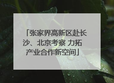 张家界高新区赴长沙、北京考察 力拓产业合作新空间
