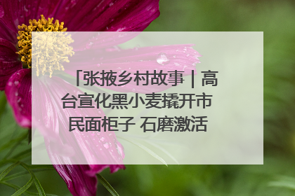 张掖乡村故事｜高台宣化黑小麦撬开市民面柜子 石磨激活村集体钱匣子