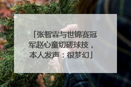 张智霖与世锦赛冠军赵心童切磋球技，本人发声：很梦幻