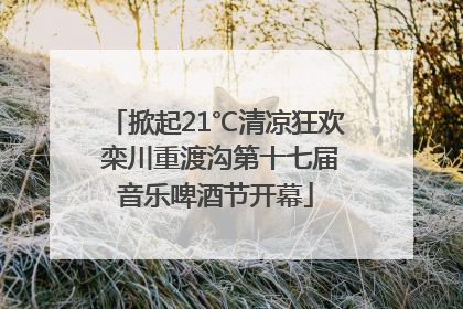 掀起21℃清凉狂欢 栾川重渡沟第十七届音乐啤酒节开幕