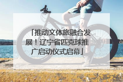 推动文体旅融合发展！辽宁省匹克球推广启动仪式启幕